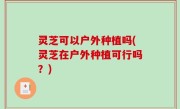 灵芝可以户外种植吗(灵芝在户外种植可行吗？)