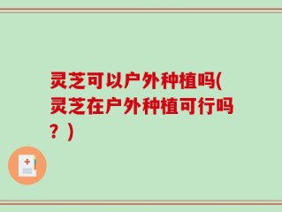 灵芝可以户外种植吗(灵芝在户外种植可行吗？)
