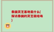 泰国灵芝基地是什么(探访泰国的灵芝栽培场)