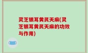 灵芝银耳黄芪天麻(灵芝银耳黄芪天麻的功效与作用)
