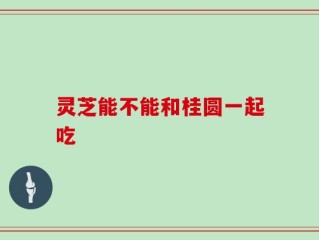灵芝能不能和桂圆一起吃