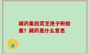 藏药集团灵芝孢子粉胶囊？藏药是什么意思