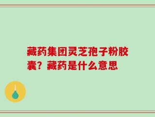 藏药集团灵芝孢子粉胶囊？藏药是什么意思