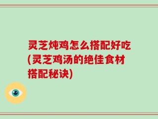 灵芝炖鸡怎么搭配好吃(灵芝鸡汤的绝佳食材搭配秘诀)