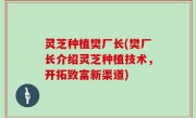 灵芝种植樊厂长(樊厂长介绍灵芝种植技术，开拓致富新渠道)
