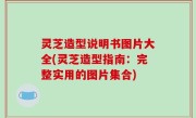 灵芝造型说明书图片大全(灵芝造型指南：完整实用的图片集合)