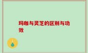 玛咖与灵芝的区别与功效