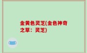 金黄色灵芝(金色神奇之草：灵芝)