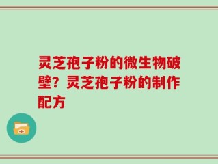灵芝孢子粉的微生物破壁？灵芝孢子粉的制作配方