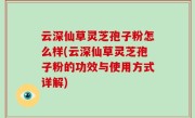云深仙草灵芝孢子粉怎么样(云深仙草灵芝孢子粉的功效与使用方式详解)