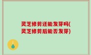 灵芝修剪还能发芽吗(灵芝修剪后能否发芽)