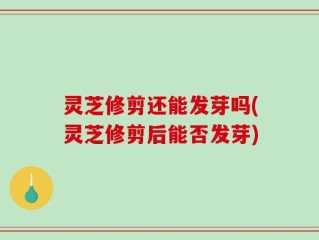 灵芝修剪还能发芽吗(灵芝修剪后能否发芽)