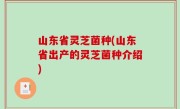 山东省灵芝菌种(山东省出产的灵芝菌种介绍)
