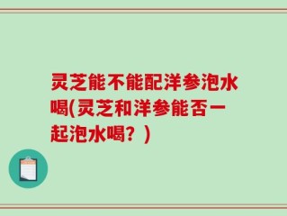 灵芝能不能配洋参泡水喝(灵芝和洋参能否一起泡水喝？)