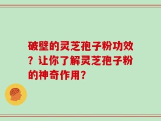 破壁的灵芝孢子粉功效？让你了解灵芝孢子粉的神奇作用？