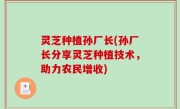 灵芝种植孙厂长(孙厂长分享灵芝种植技术，助力农民增收)