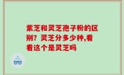 紫芝和灵芝孢子粉的区别？灵芝分多少种,看看这个是灵芝吗