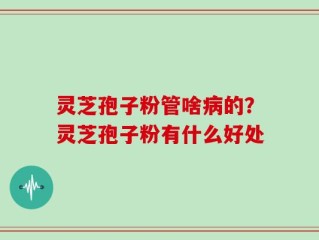 灵芝孢子粉管啥病的？灵芝孢子粉有什么好处