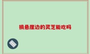 摘悬崖边的灵芝能吃吗