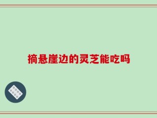摘悬崖边的灵芝能吃吗