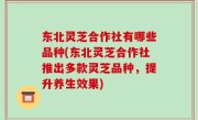 东北灵芝合作社有哪些品种(东北灵芝合作社推出多款灵芝品种，提升养生效果)