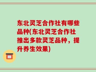 东北灵芝合作社有哪些品种(东北灵芝合作社推出多款灵芝品种，提升养生效果)