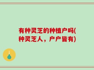 有种灵芝的种植户吗(种灵芝人，户户皆有)