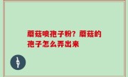 蘑菇喷孢子粉？蘑菇的孢子怎么弄出来