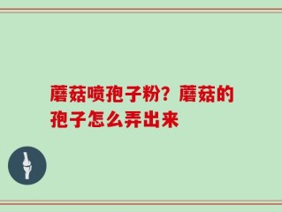 蘑菇喷孢子粉？蘑菇的孢子怎么弄出来