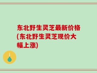 东北野生灵芝最新价格(东北野生灵芝现价大幅上涨)