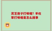 灵芝孢子打喷嚏？羊吃草打喷嚏是怎么回事
