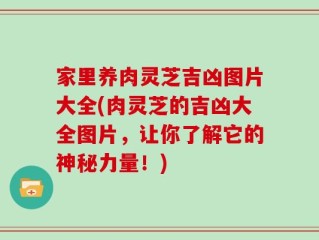 家里养肉灵芝吉凶图片大全(肉灵芝的吉凶大全图片，让你了解它的神秘力量！)