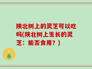 陕北树上的灵芝可以吃吗(陕北树上生长的灵芝：能否食用？)
