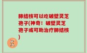肺结核可以吃破壁灵芝孢子(神奇！破壁灵芝孢子或可助治疗肺结核)