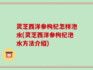 灵芝西洋参枸杞怎样泡水(灵芝西洋参枸杞泡水方法介绍)