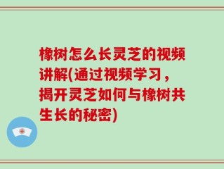 橡树怎么长灵芝的视频讲解(通过视频学习，揭开灵芝如何与橡树共生长的秘密)