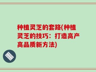 种植灵芝的套路(种植灵芝的技巧：打造高产高品质新方法)