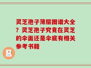 灵芝孢子薄层图谱大全？灵芝孢子究竟在灵芝的伞面还是伞底有相关参考书籍