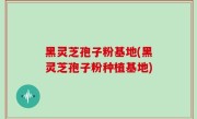 黑灵芝孢子粉基地(黑灵芝孢子粉种植基地)