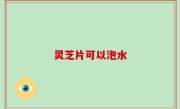 灵芝片可以泡水