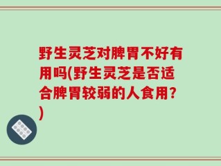 野生灵芝对脾胃不好有用吗(野生灵芝是否适合脾胃较弱的人食用？)