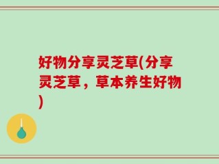 好物分享灵芝草(分享灵芝草，草本养生好物)