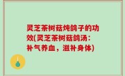 灵芝茶树菇炖鸽子的功效(灵芝茶树菇鸽汤：补气养血，滋补身体)