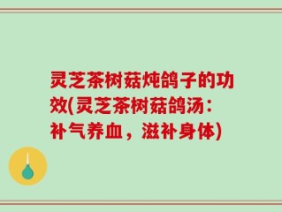 灵芝茶树菇炖鸽子的功效(灵芝茶树菇鸽汤：补气养血，滋补身体)