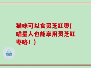 猫咪可以食灵芝红枣(喵星人也能享用灵芝红枣咯！)