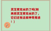 灵芝煮完水扔了吗(别再把灵芝煮完水扔了，它们还有这些神奇用途！)