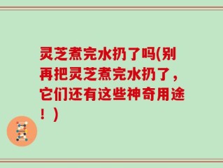 灵芝煮完水扔了吗(别再把灵芝煮完水扔了，它们还有这些神奇用途！)