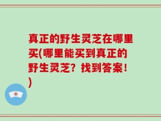 真正的野生灵芝在哪里买(哪里能买到真正的野生灵芝？找到答案！)