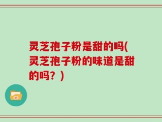 灵芝孢子粉是甜的吗(灵芝孢子粉的味道是甜的吗？)