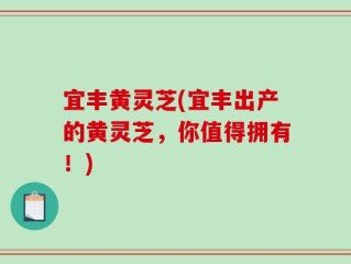 宜丰黄灵芝(宜丰出产的黄灵芝，你值得拥有！)